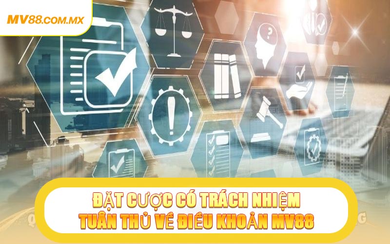 Đặt Cược Có Trách Nhiệm, Tuân Thủ Về Điều Khoản MV88