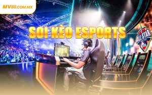 Soi Kèo Esports