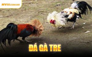 Đá Gà Tre