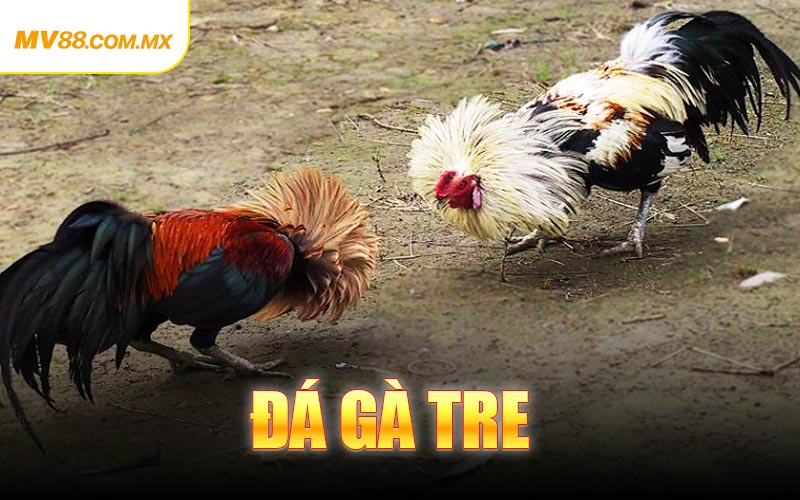 Đá Gà Tre